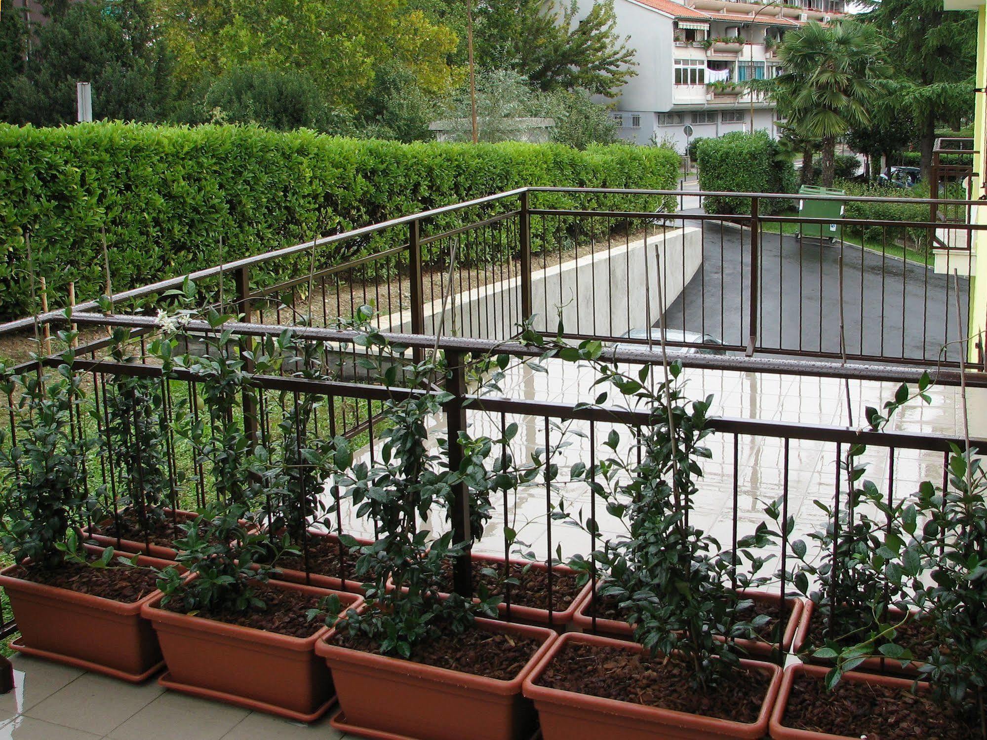 Garni Hotel Keltika Izola Εξωτερικό φωτογραφία